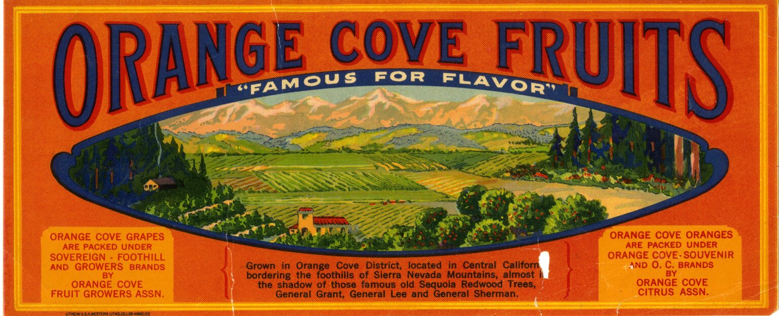 Orange Cove Fruit Orange Cove Fruit